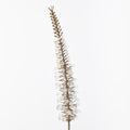Foxtail Metallic Spray (Set of 12)