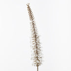 Foxtail Metallic Spray (Set of 12)