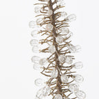 Foxtail Metallic Spray (Set of 12)